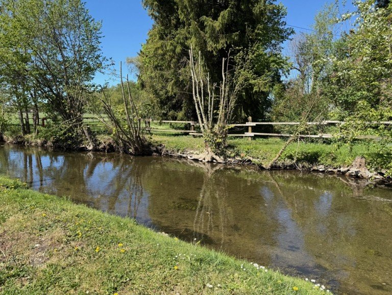 Hauptbild: Idyllisches Wohnen am Bach